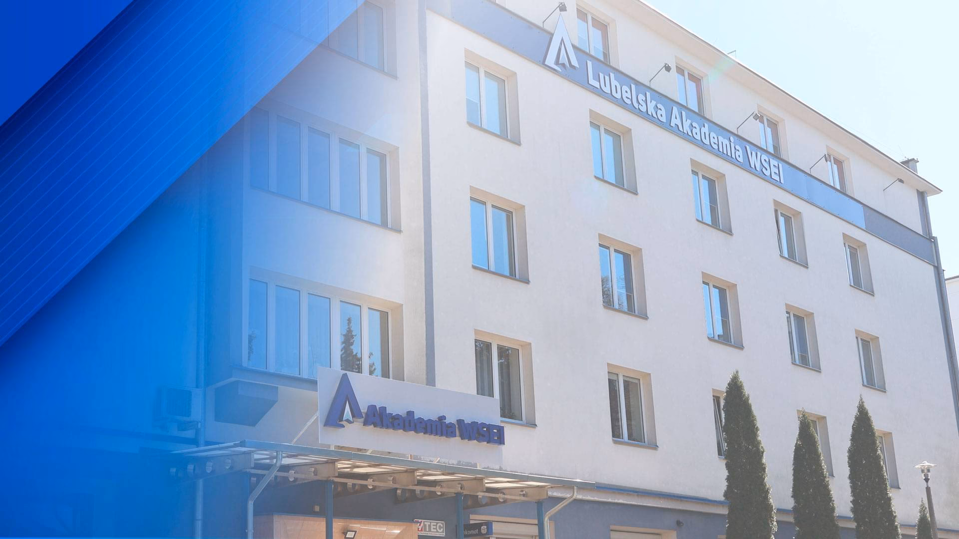 Jakie są opinie o psychologii na WSEI Lublin?