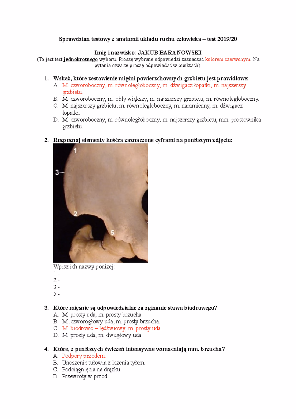Jakie są główne gałęzie anatomii człowieka?