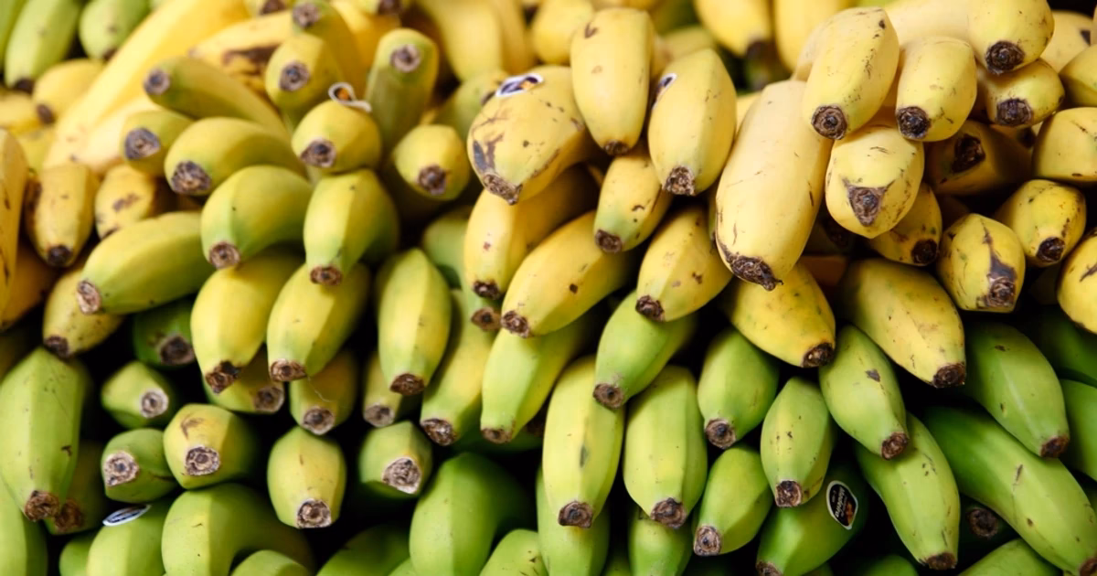 Czego symbolem jest banan?