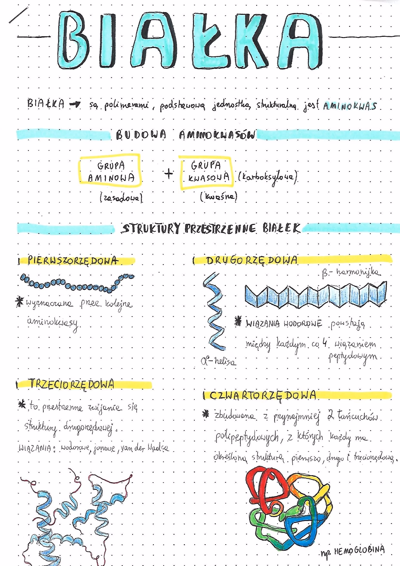 Jakie są 5 rodzajów białek?