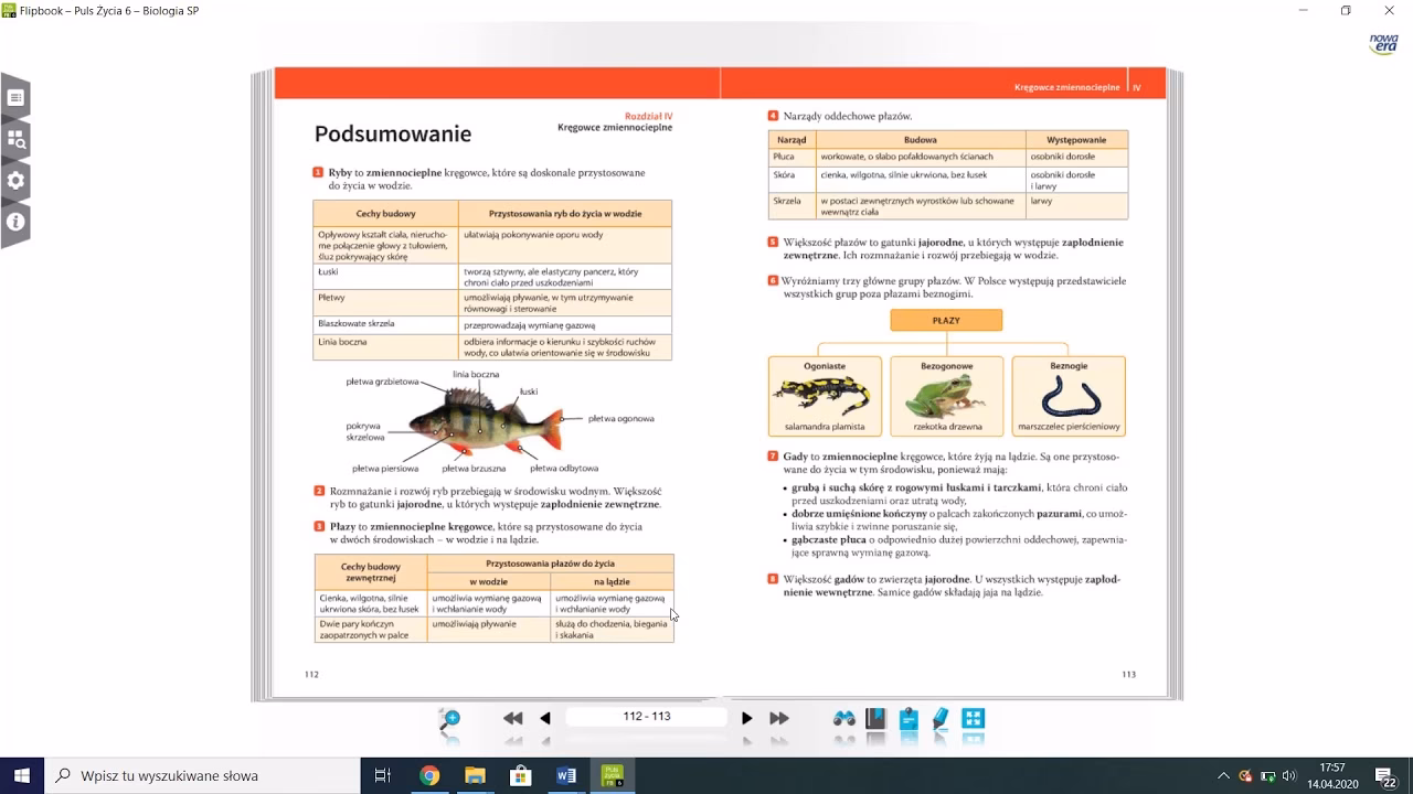 Czy gady to kręgowce?