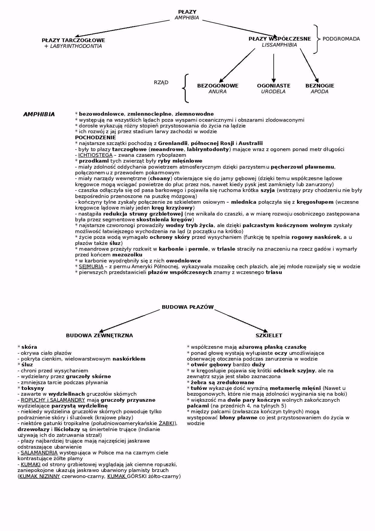 Jaka jest definicja płaza w biologii?