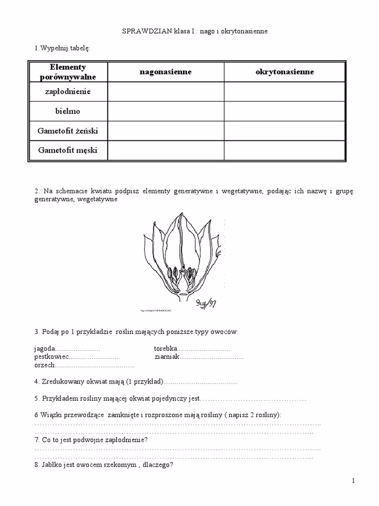 Czy okrytonasienne i okrytozalążkowe to to samo?