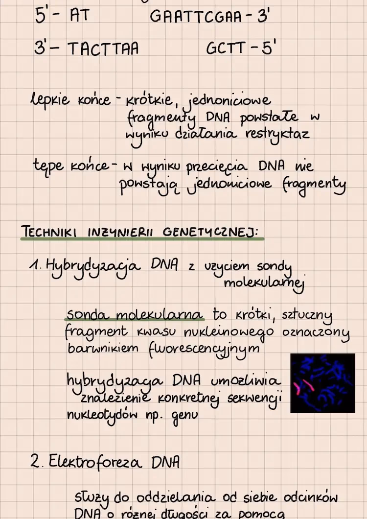 Jaki jest zakres biotechnologii inżynierii genetycznej?