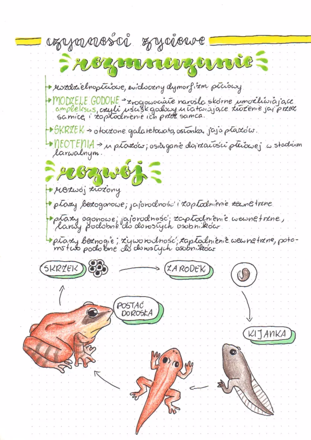 Jakie cechy są charakterystyczne dla gadów?