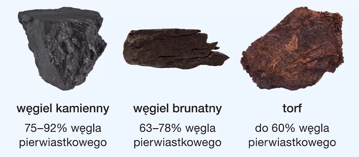 Jakie są rodzaje paliw kopalnych?