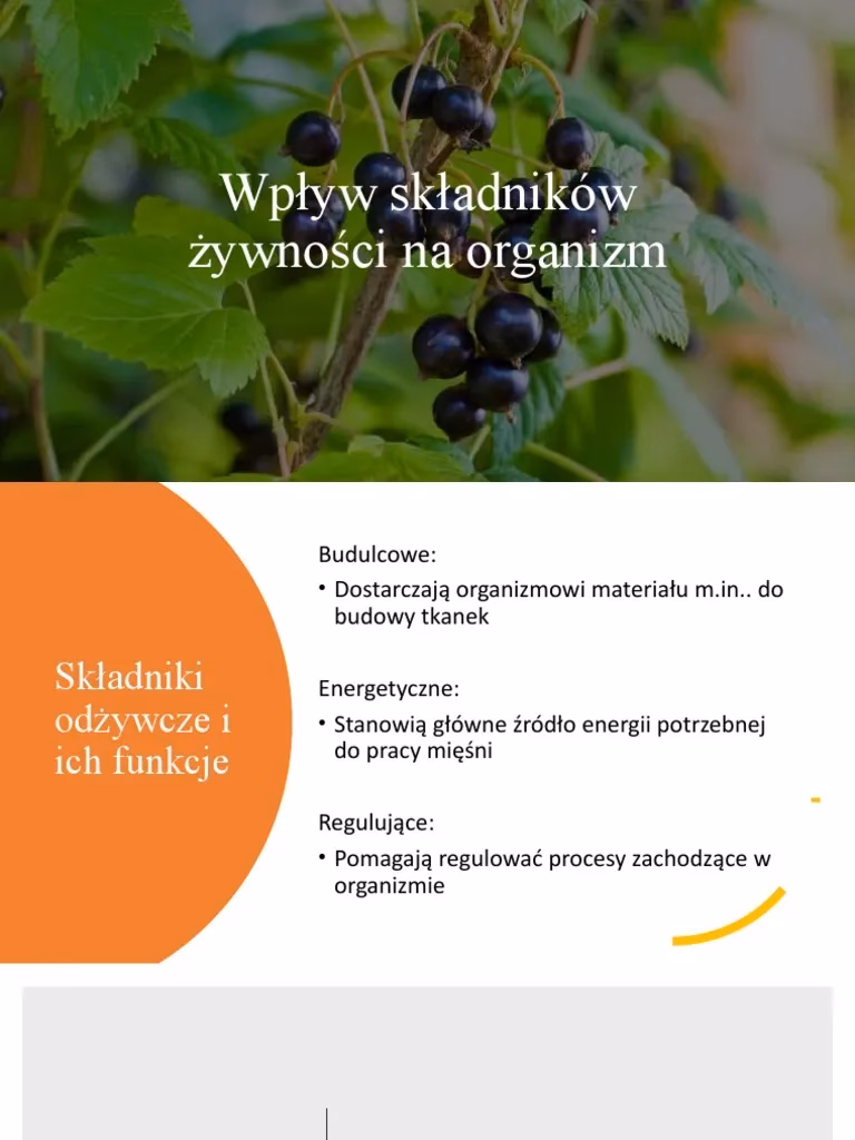 Jakich składników potrzebuje organizm?