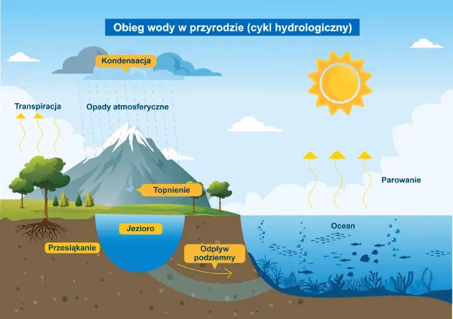 Czy przyroda jest tylko w 4 klasie?