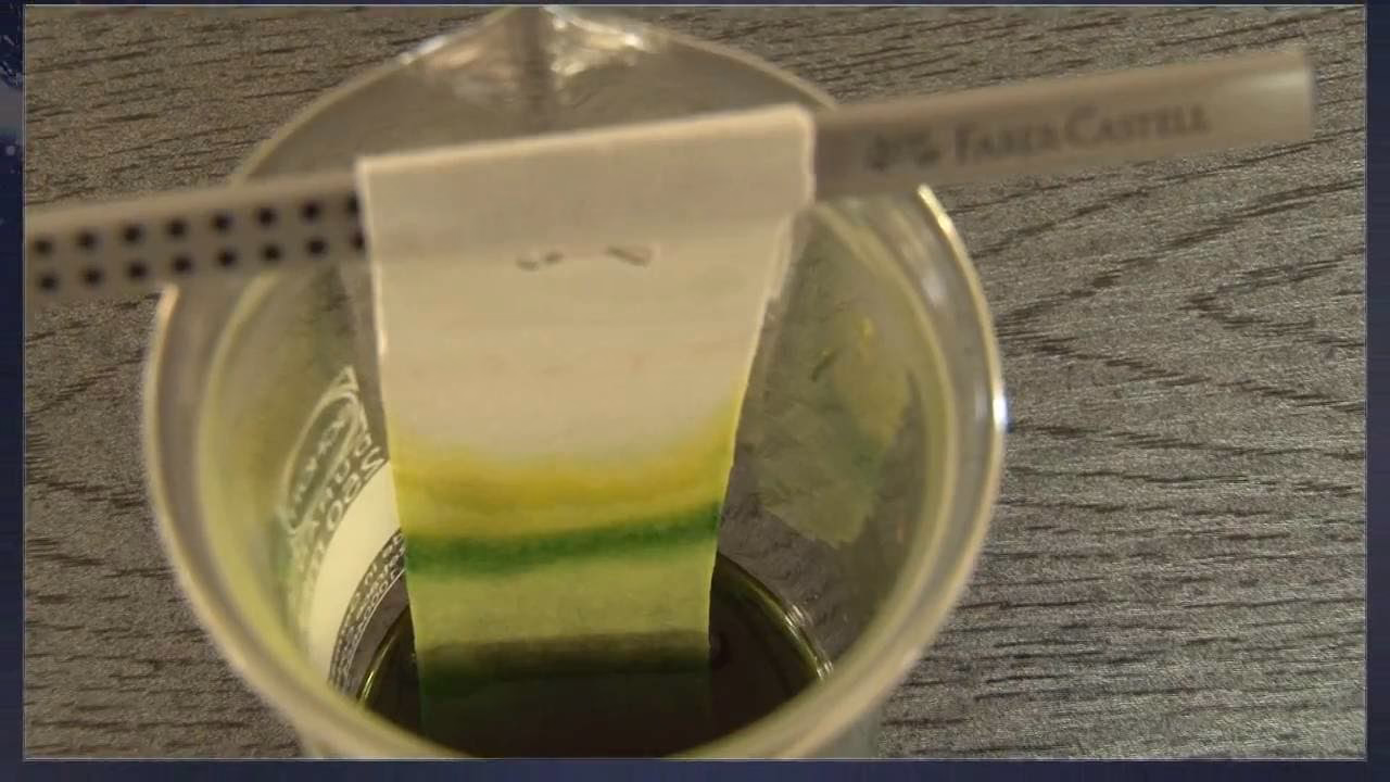 Jakie są trzy przykłady obserwacji i doświadczenia?