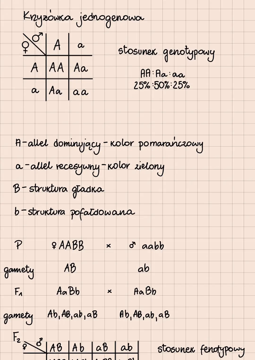 Na czym polega dziedziczenie cech?