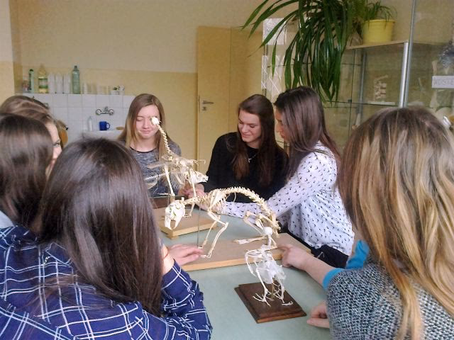 Jaki jest przykład eksperymentu?