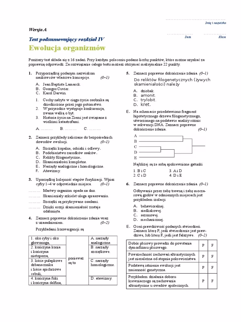 Jakie są 4 rodzaje ewolucji?