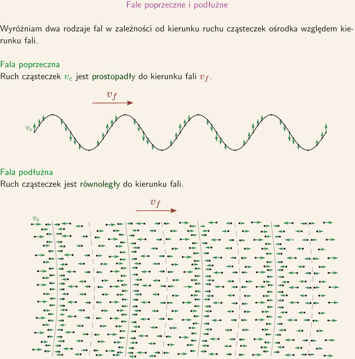 Który przykład jest jednocześnie falą poprzeczną i falą podłużną?