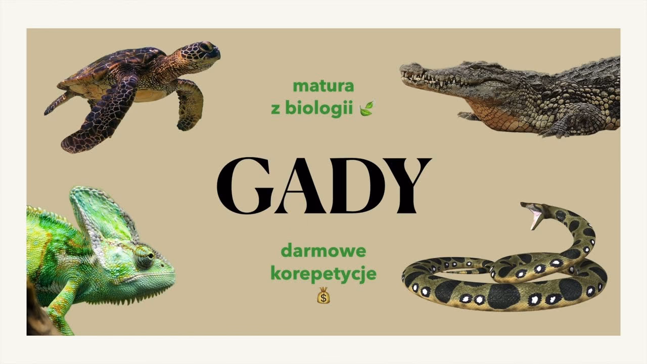 Jakie są 3 najważniejsze gady?