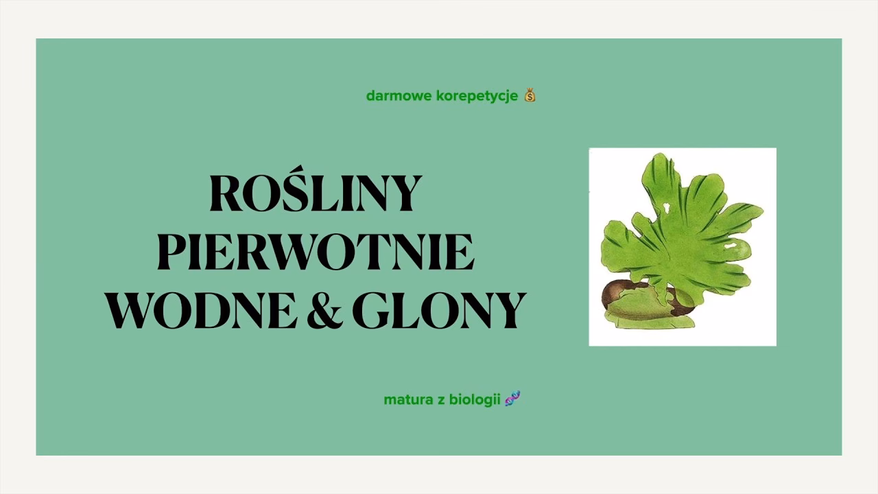 Co zaliczamy do glonów?