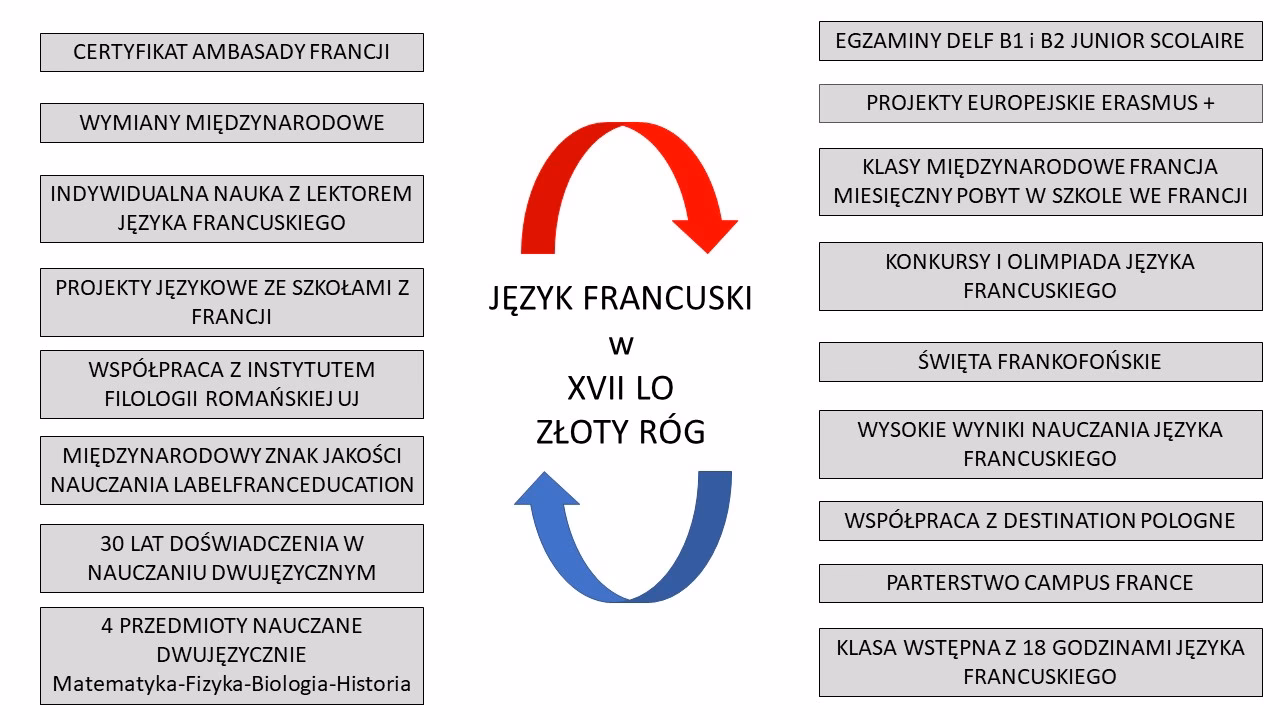 Na czym polega egzamin dwujęzyczny?
