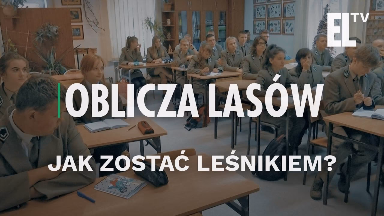 Czy można zostać leśniczym bez szkoły?