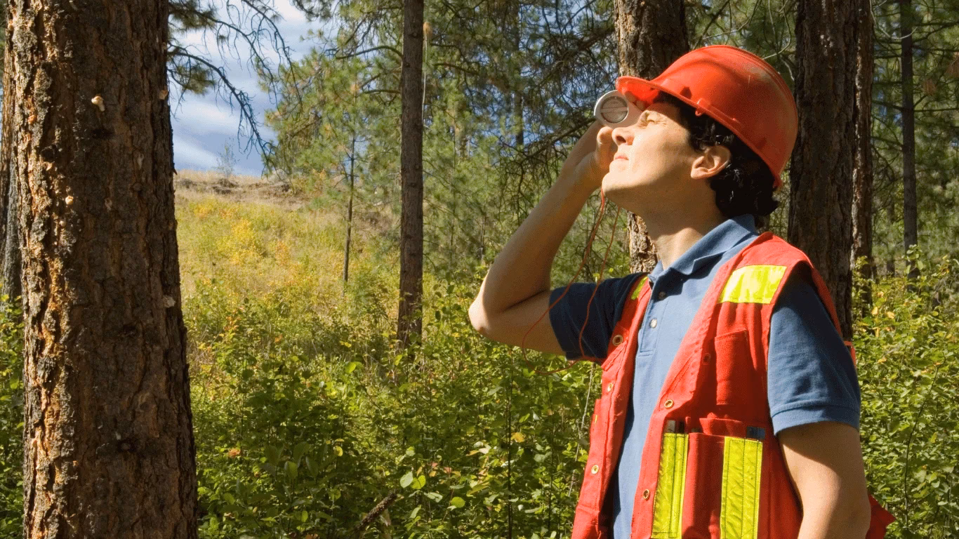 Czy można zostać leśniczym bez szkoły?