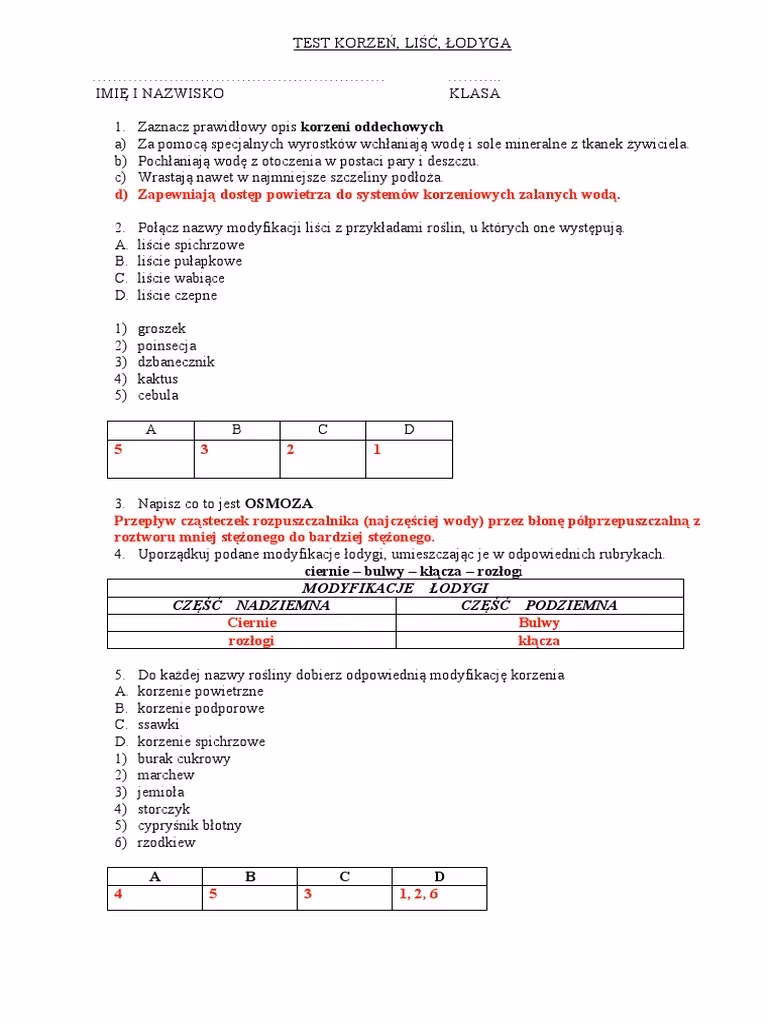 Jakie są funkcje korzenia, łodygi i liści?