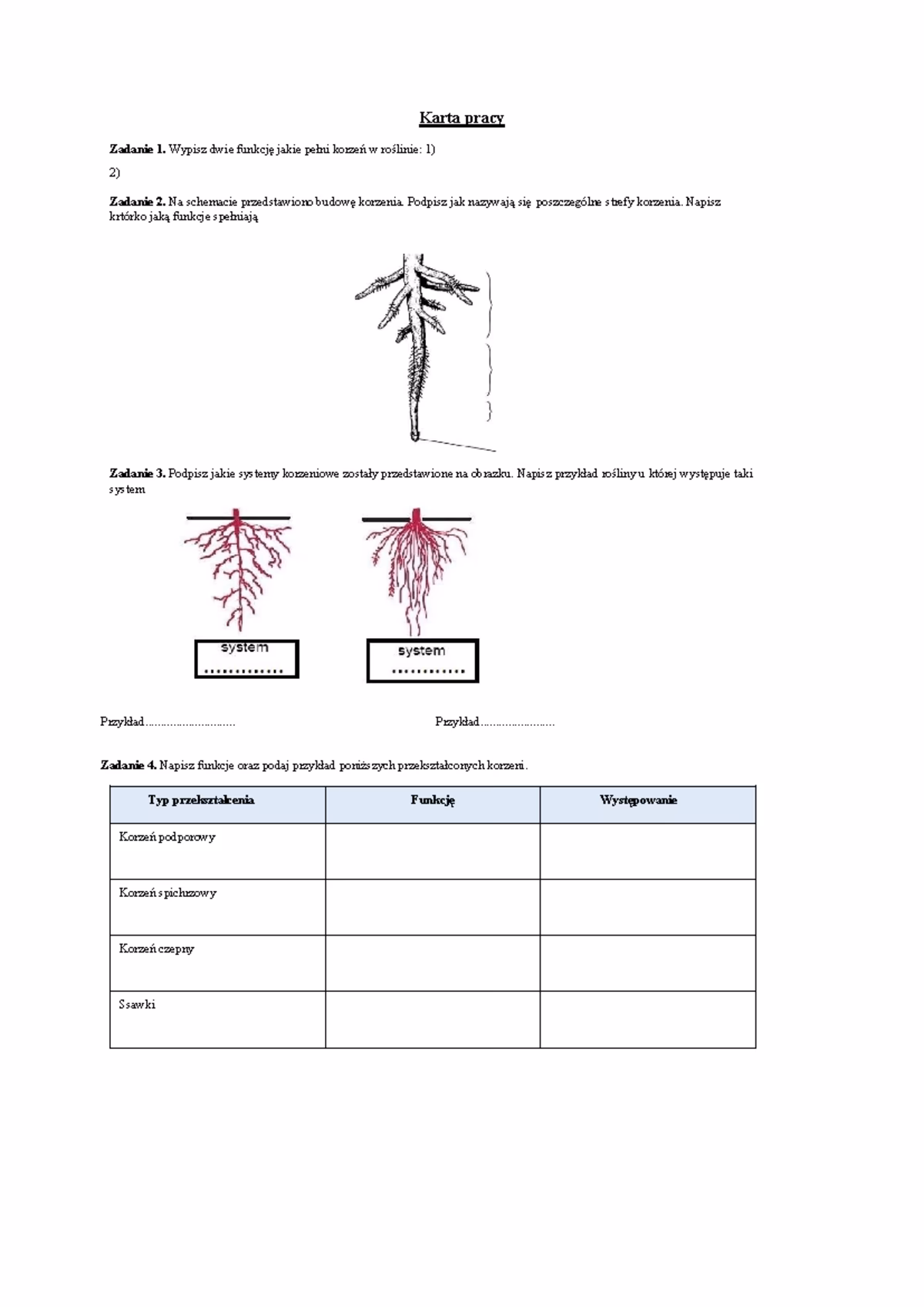 Czym się różni łodyga od korzenia?