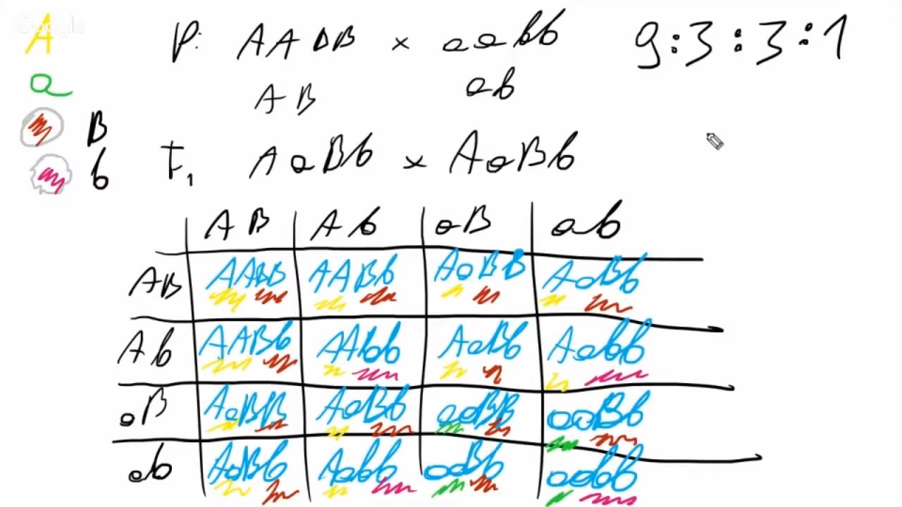 Na czym polegają krzyżówki genetyczne?