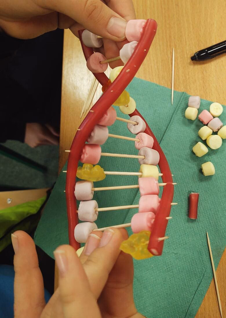 Jak wyglądają zajęcia z biologii?