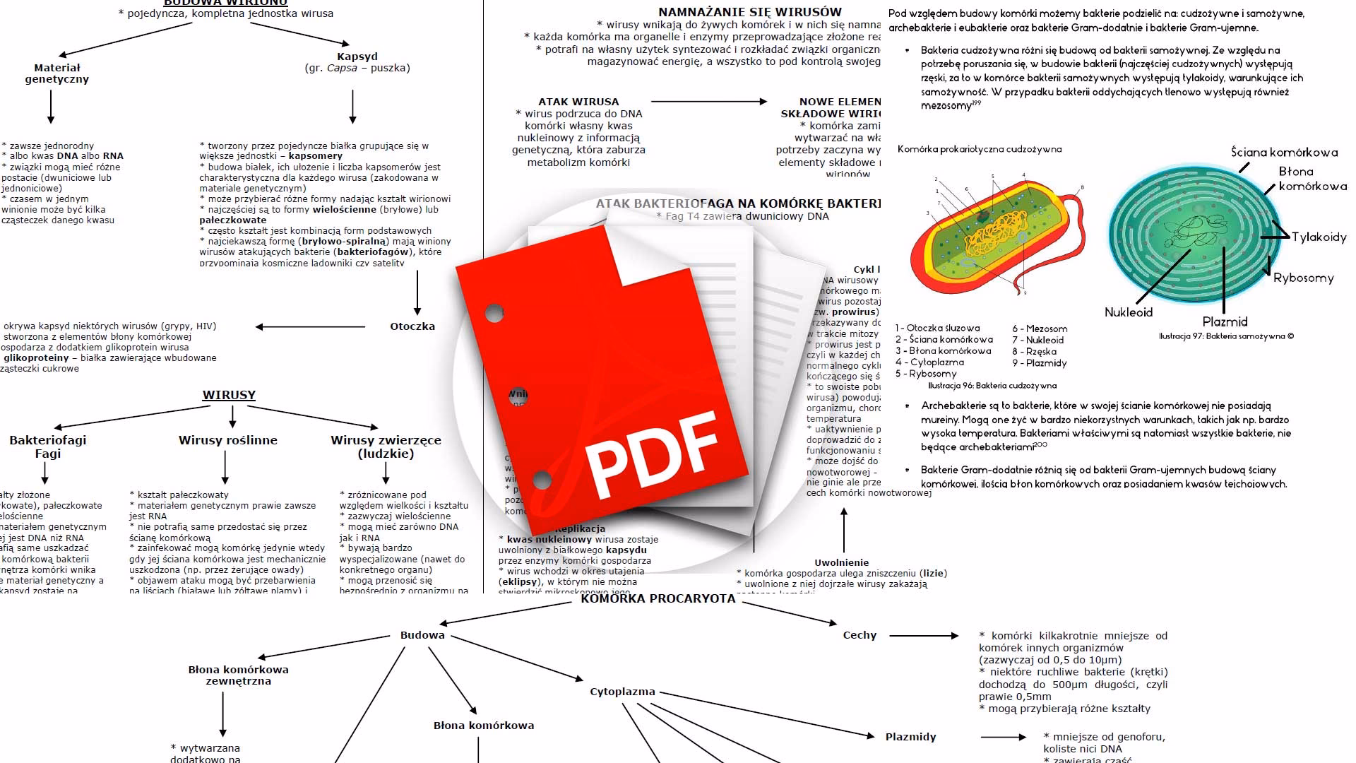 Czy matura z biologii 2025 była trudna?