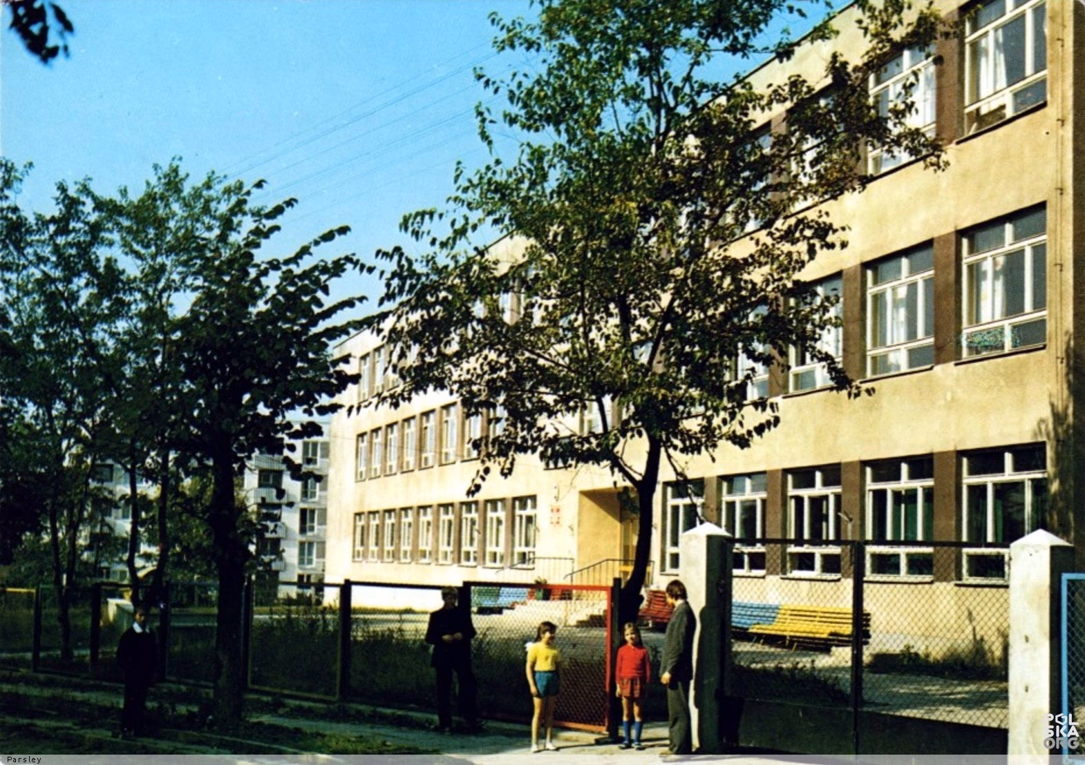 Jakie kierunki w ekonomiku?