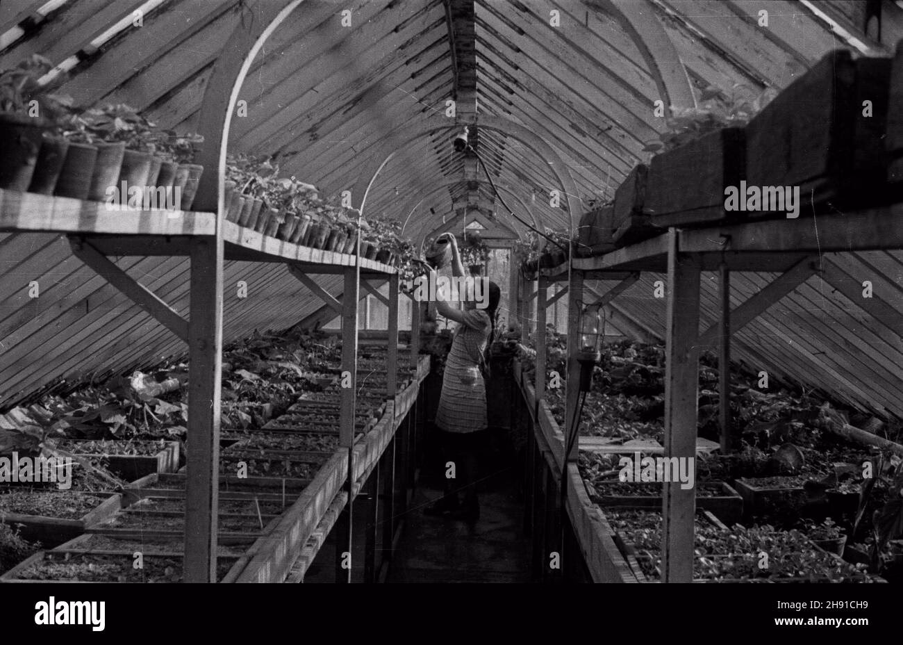 Jaki jest próg punktowy do Technikum nr 1 Piaseczno?