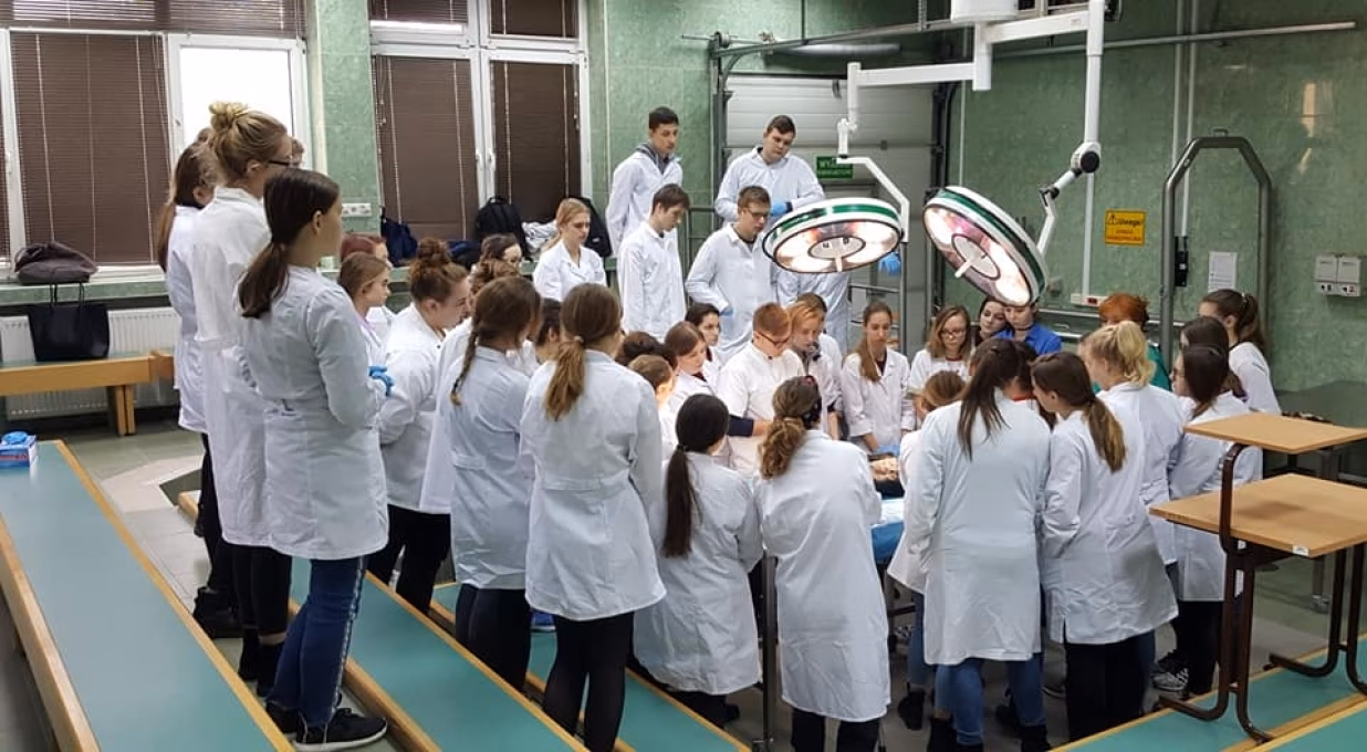 Jakie są kierunki w chemiku?