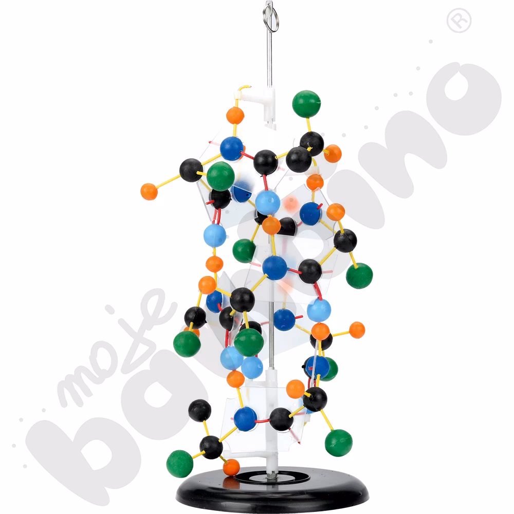 Jakie są cztery struktury białek?