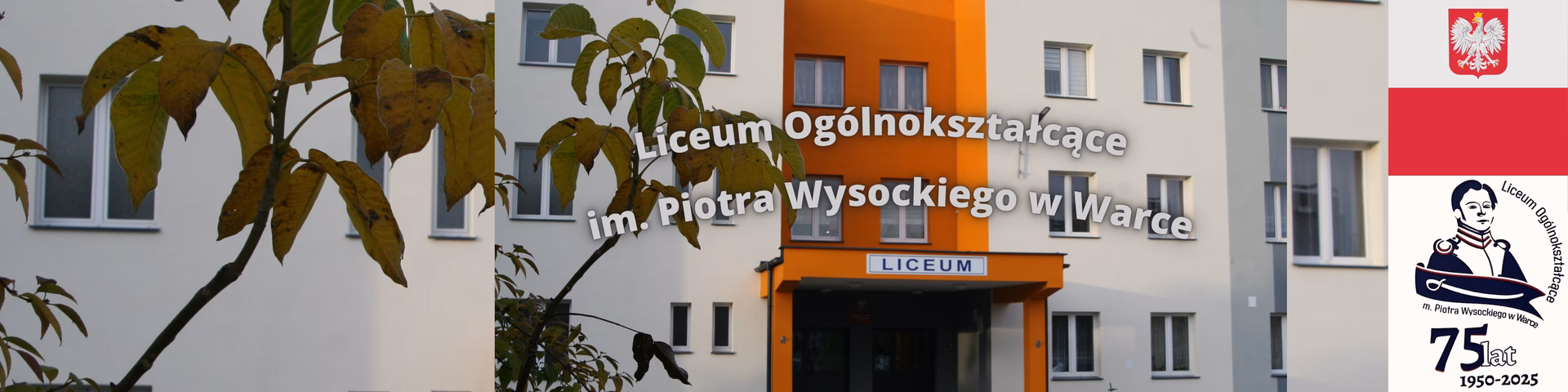 Jakie są progi punktowe w liceum Warka?