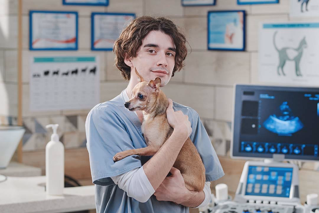 Czy istnieje technikum weterynaryjne?