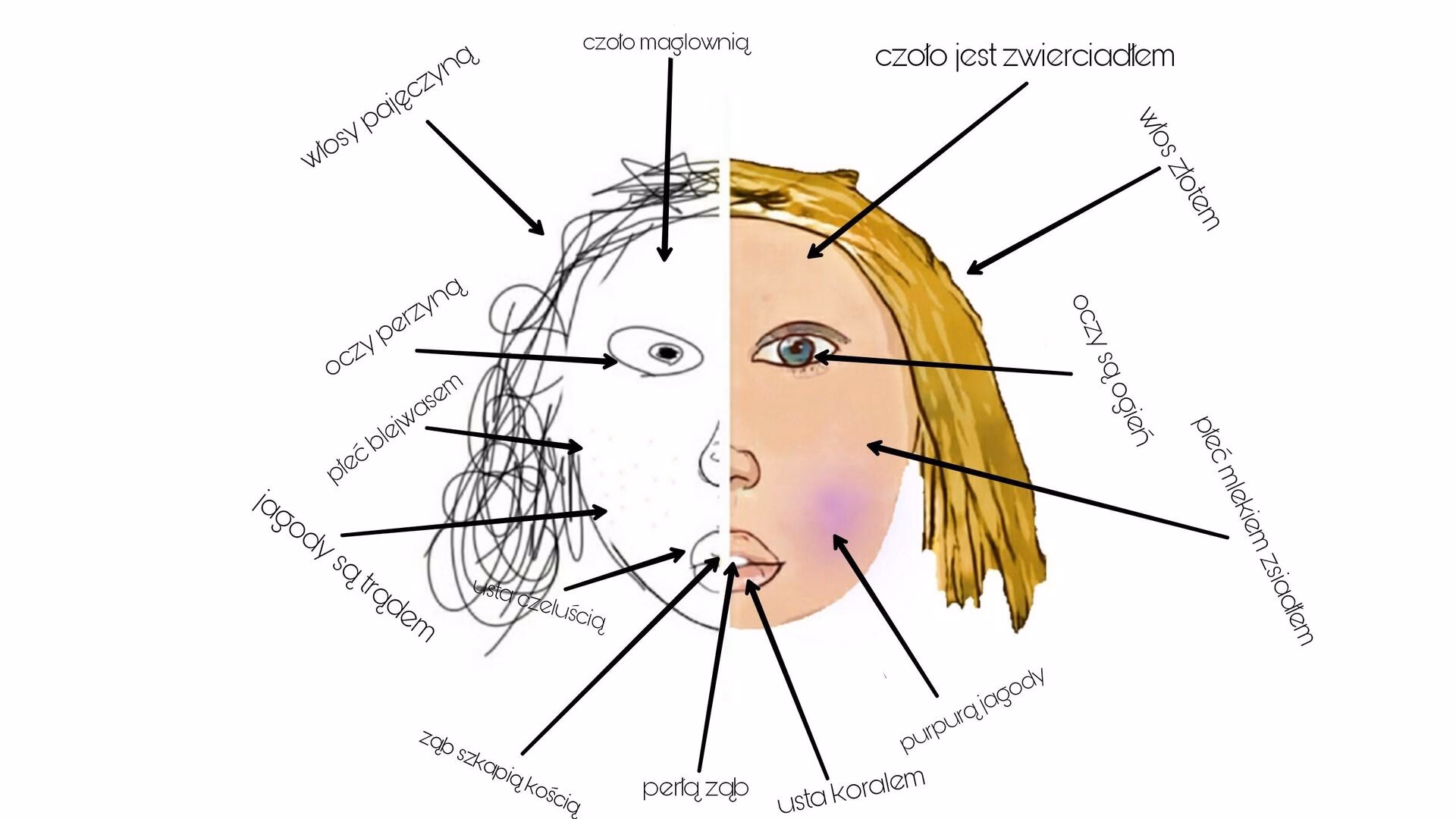 Na czym polega koncept Morsztyna?