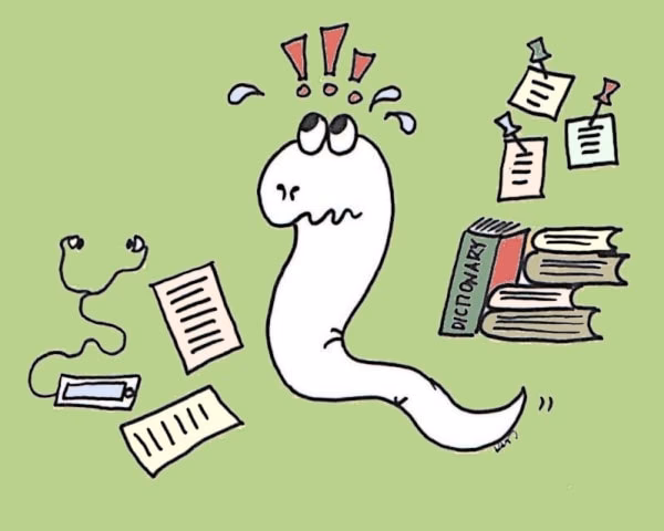 Dlaczego angielski jest taki trudny w szkole?