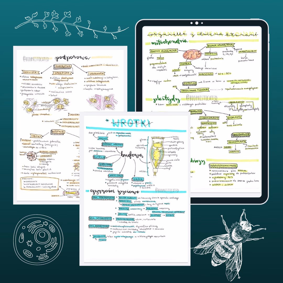 Czym są krótkie notatki z biologii?