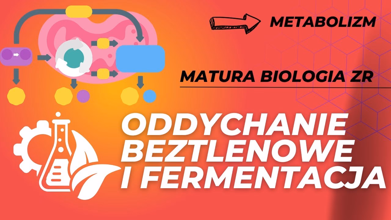 Czym różni się fermentacja od oddychania beztlenowego?