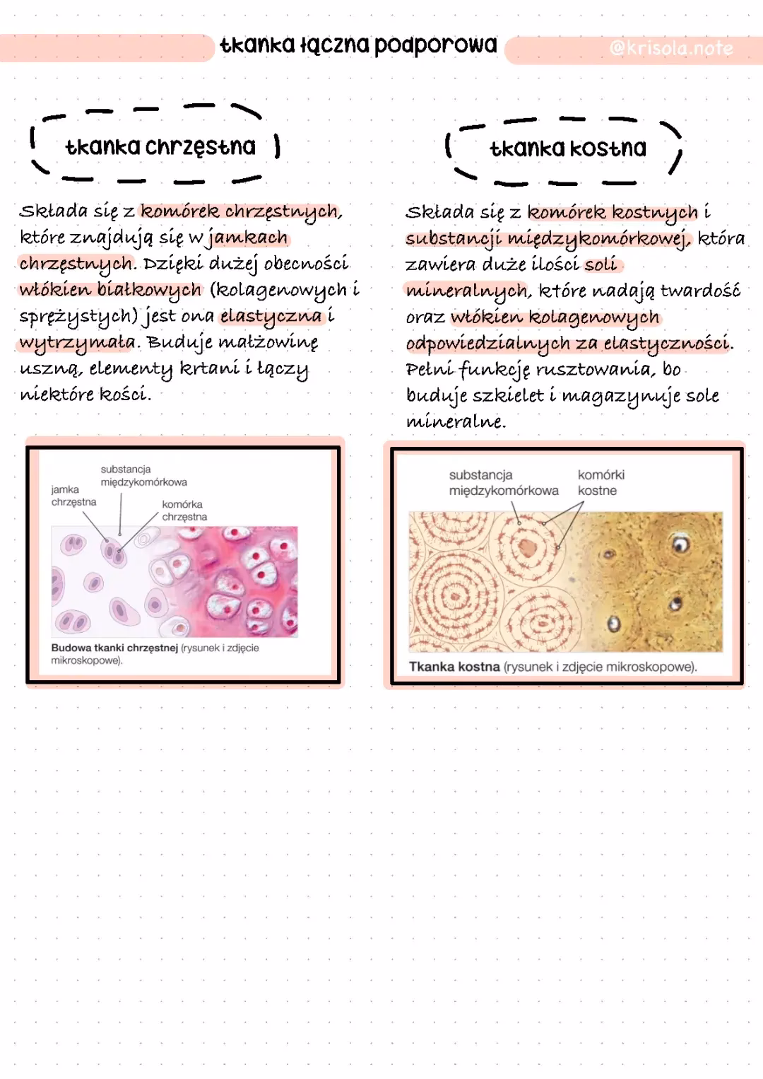 Jakie trzy klasyfikacje są uznawane za klasyfikację tkanki łącznej?