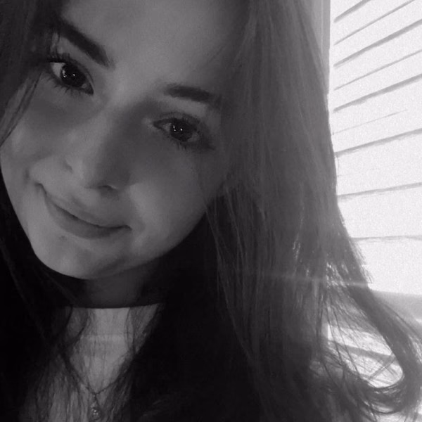 Co znaczy shelter po angielsku?