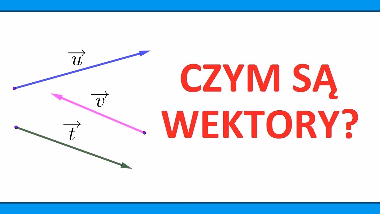 Czym jest wektor w klasie 12 fizyki?