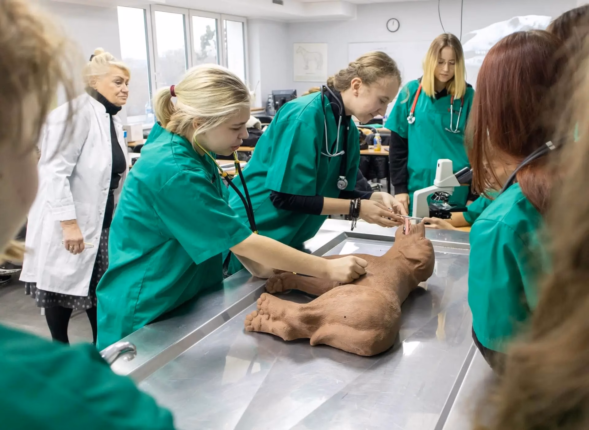 Jaka szkoła żeby być weterynarzem?