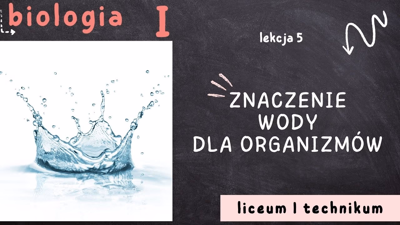 Jaki jest przykład wody w biologii?