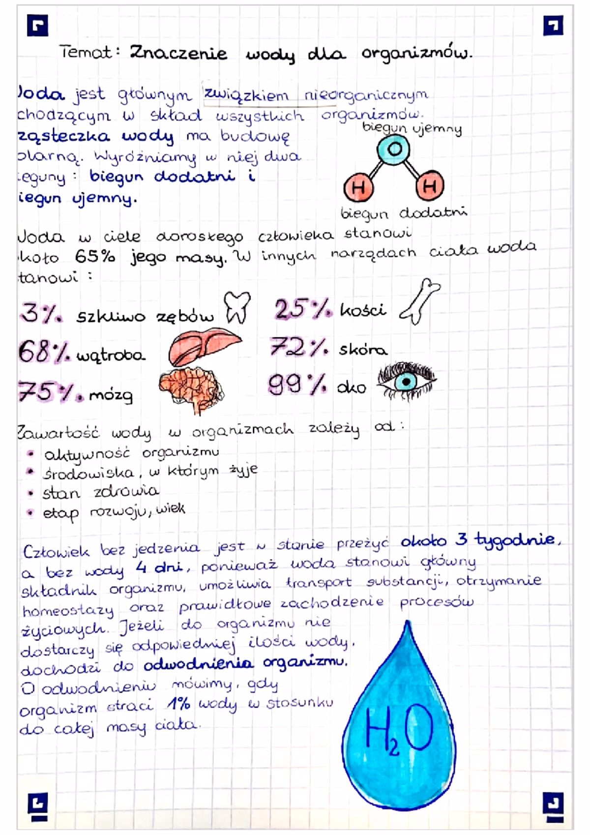 Co to jest woda w biologii?